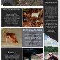 Parution du bulletin « Caïmans de Guyane » n°1! Parution du bulletin « Caïmans de Guyane » n°1!