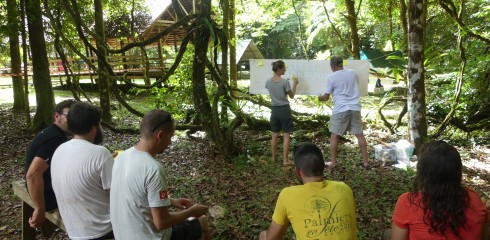 Formation et insertion des jeunes à l’Arataï