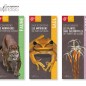 Trois nouvelles plaquettes pour affûter son regard en forêt Trois nouvelles plaquettes pour affûter son regard en forêt