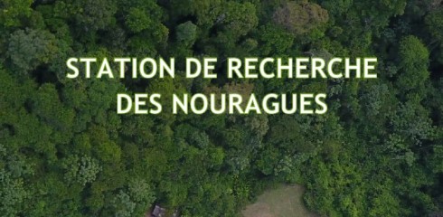 Le rapport d’activité 2019 de la station de recherche du CNRS est sorti!