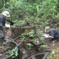 Séjour « Archéo » aux Nouragues Séjour « Archéo » aux Nouragues