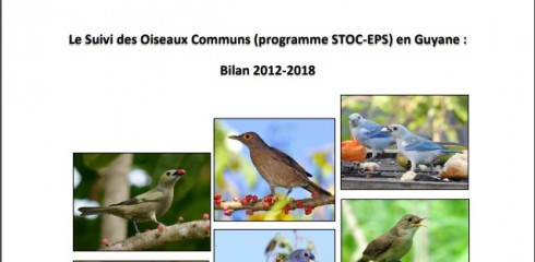 Le bilan STOC-EPS 2012-2018 est sorti!