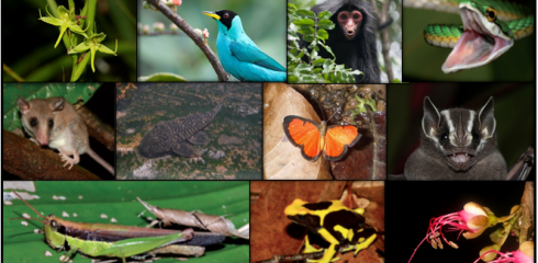 Inventaire de la biodiversité