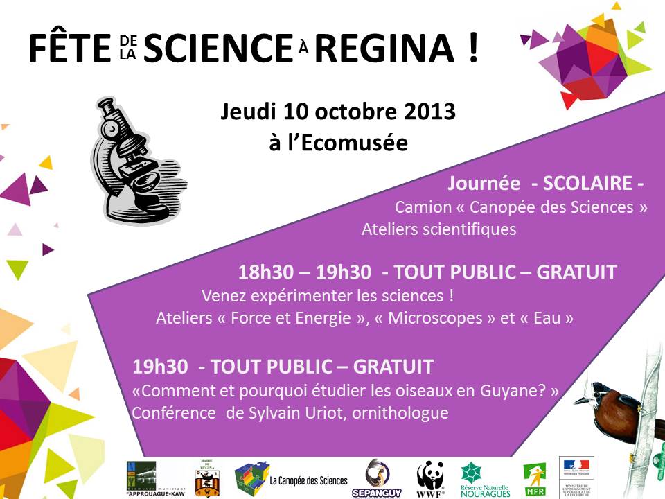Affiche FDS 2013