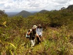 Observation de la savane roche avec Guillaume Léotard, expert botaniste