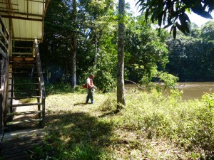 Débroussaillage du camp Arataï