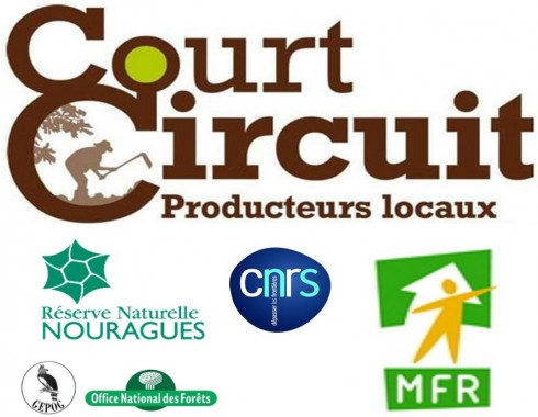 logo_court-circuit