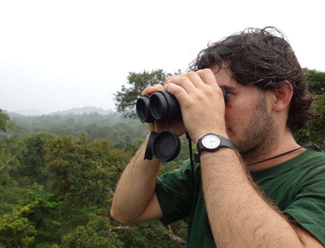 Observation des oiseaux aux jumelles